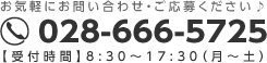 028-666-5725